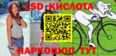 Альфа ПВП Малгобек