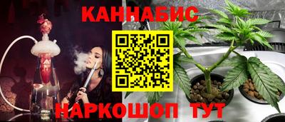 Альфа ПВП Малгобек
