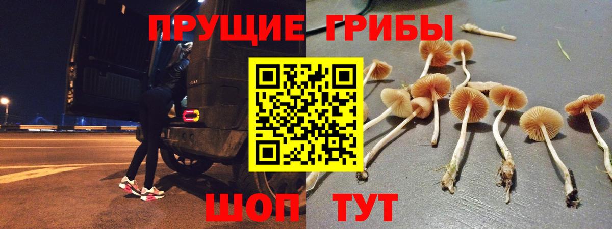 Урюпинск  Псилоцибиновые грибы ЛСД  Вход с VPN 